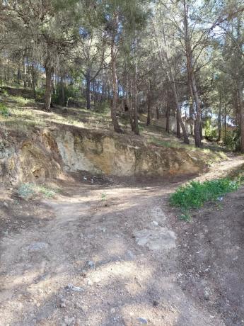 Terreno en San Miguel - El Paraíso