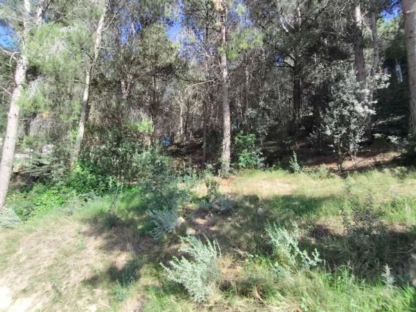 Terreno en San Miguel - El Paraíso