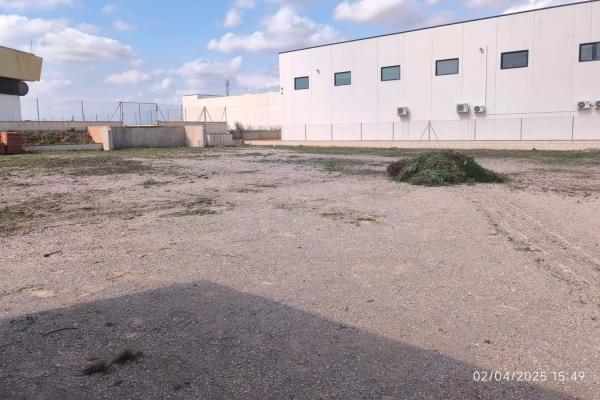 Terreno en calle Coeters, 1