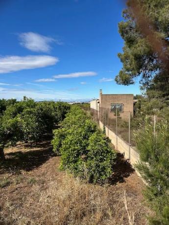 Terreno en Los Pinares-La Masía