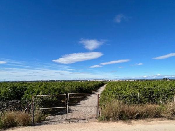 Terreno en Los Pinares-La Masía
