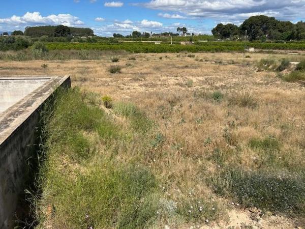 Terreno en Los Pinares-La Masía