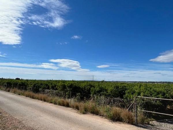 Terreno en Los Pinares-La Masía