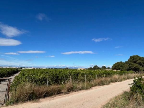 Terreno en Los Pinares-La Masía