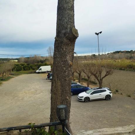 Terreno en camino perla de alcebo s/n