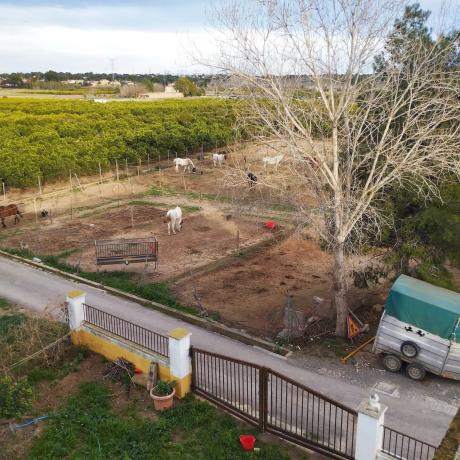 Terreno en camino perla de alcebo s/n