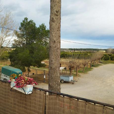 Terreno en camino perla de alcebo s/n