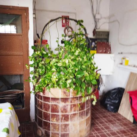 Terreno en camino perla de alcebo s/n