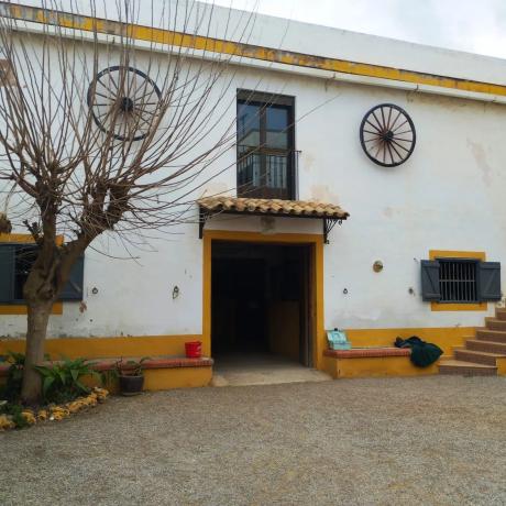 Terreno en camino perla de alcebo s/n