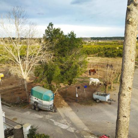 Terreno en camino perla de alcebo s/n