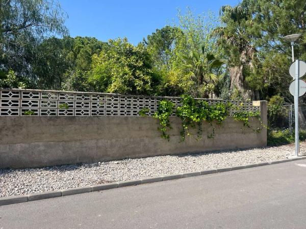 Terreno en calle Naranjo, 4