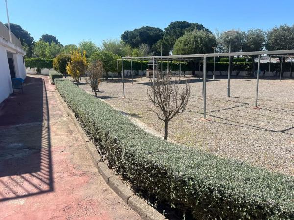 Terreno en calle Naranjo, 4