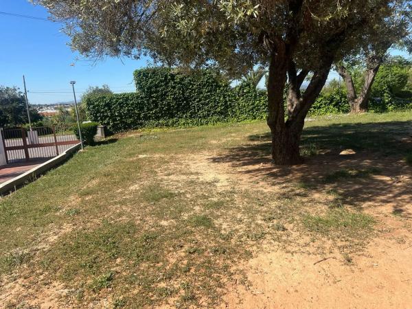 Terreno en calle Naranjo, 4