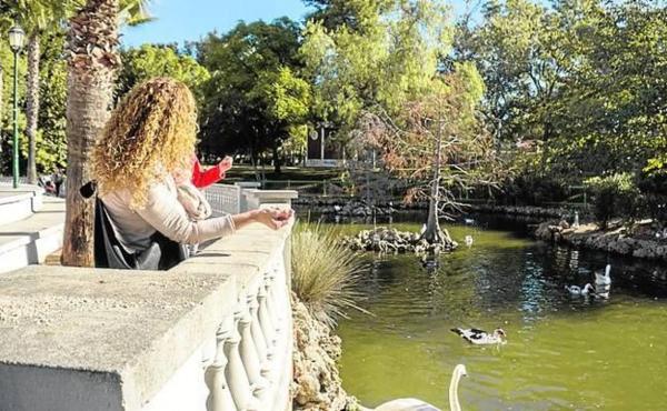 Terreno en calle Rosseta, 20