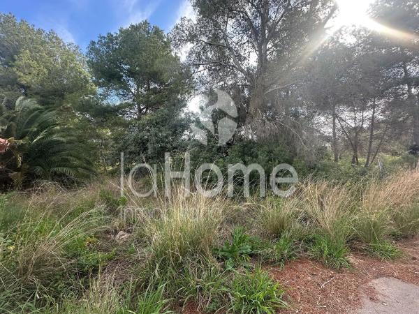 Terreno en San Antonio de Benagéber
