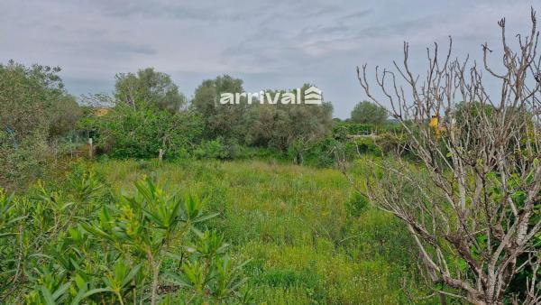 Terreno en calle Falcó