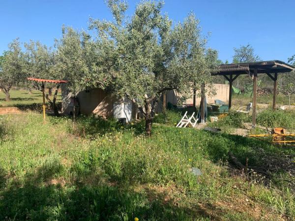 Terreno en Casco Antiguo