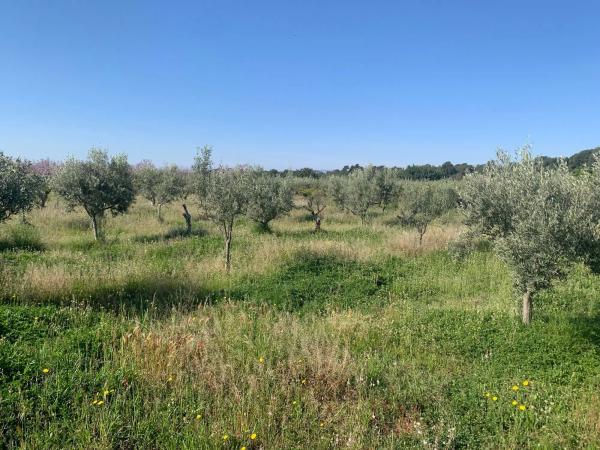 Terreno en Casco Antiguo