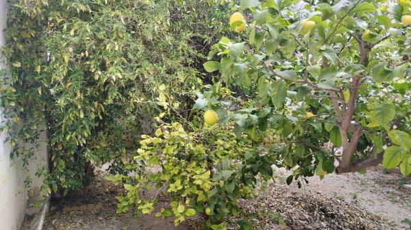 Terreno en Benaguasil
