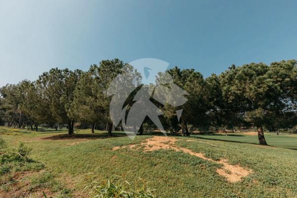 Terreno en calle de l'Oroneta