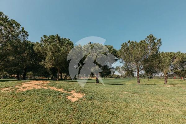 Terreno en calle de l'Oroneta