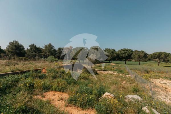 Terreno en calle de l'Oroneta