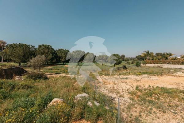 Terreno en calle de l'Oroneta