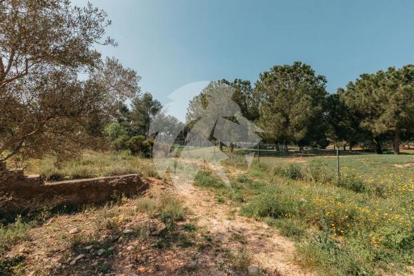 Terreno en calle de l'Oroneta