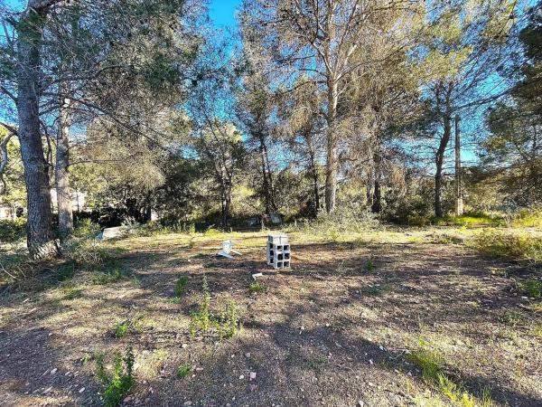 Terreno en Barranco Mucholina s/n