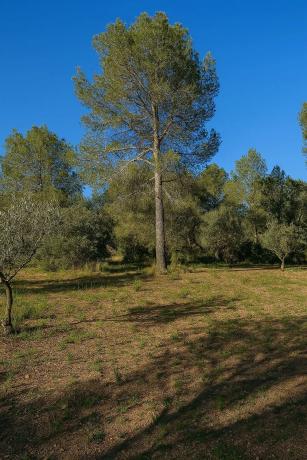 Terreno en Barranco Mucholina s/n