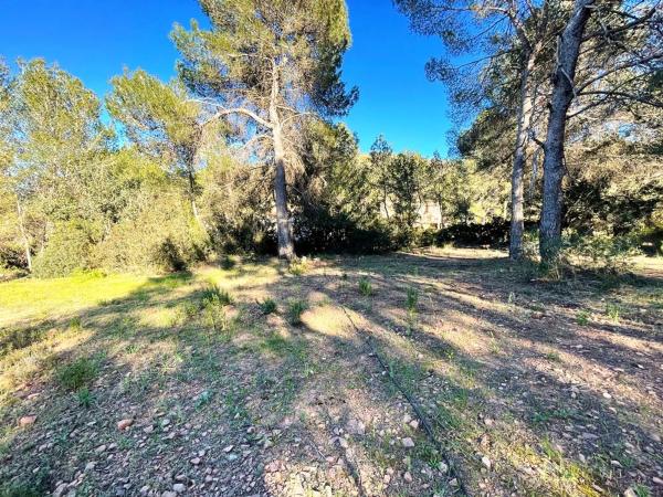 Terreno en Barranco Mucholina s/n