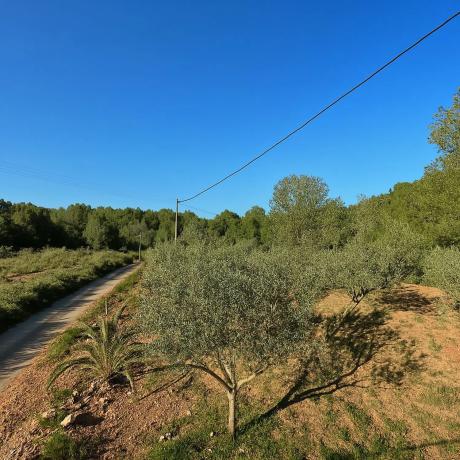 Terreno en Barranco Mucholina s/n