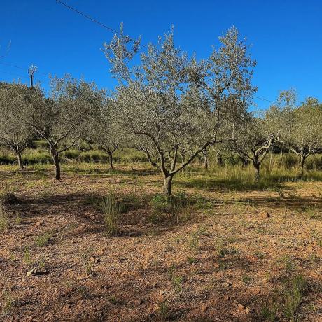 Terreno en Barranco Mucholina s/n