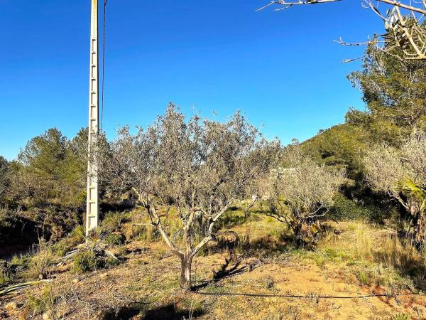 Terreno en Barranco Mucholina s/n