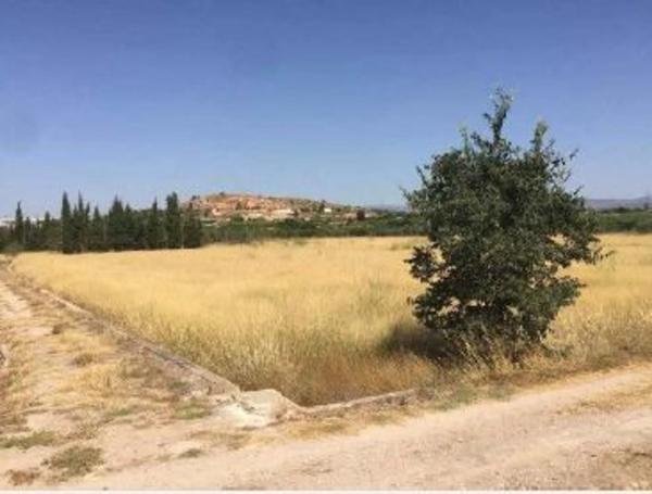 Terreno en Partida Turbañez s/n