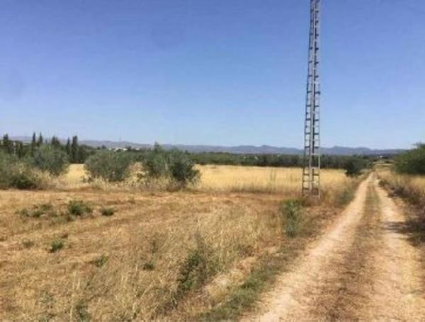 Terreno en Partida Turbañez s/n