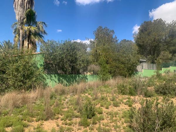 Terreno en plaza Diseminados, 136