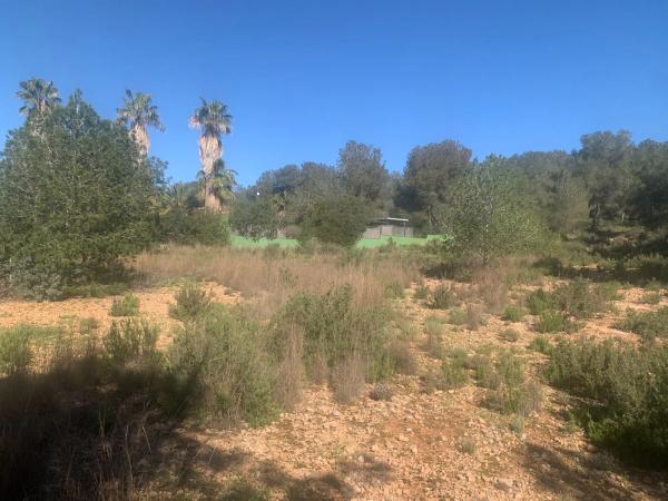 Terreno en plaza Diseminados, 136