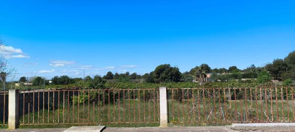 Terreno en Pla d'estepar, 3