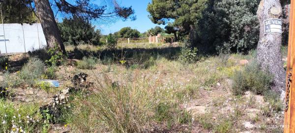 Terreno en Pla d'estepar, 3