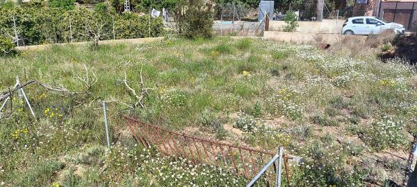 Terreno en Pla d'estepar, 3