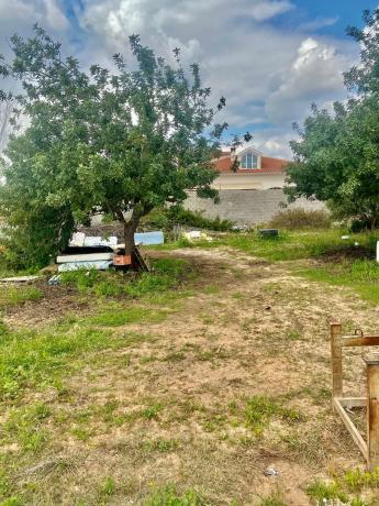 Terreno en Pla dels Aljubs