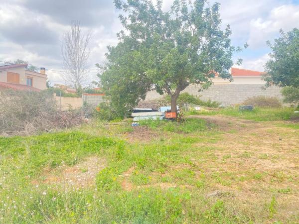 Terreno en Pla dels Aljubs