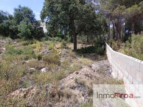 Terreno en calle Rodeno