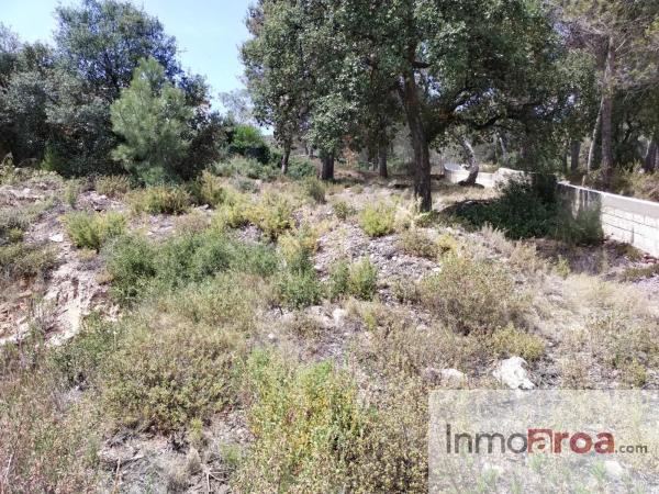 Terreno en calle Rodeno