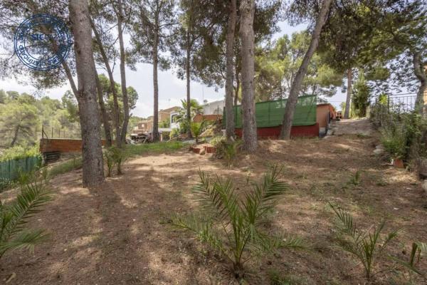 Terreno en calle Castellon