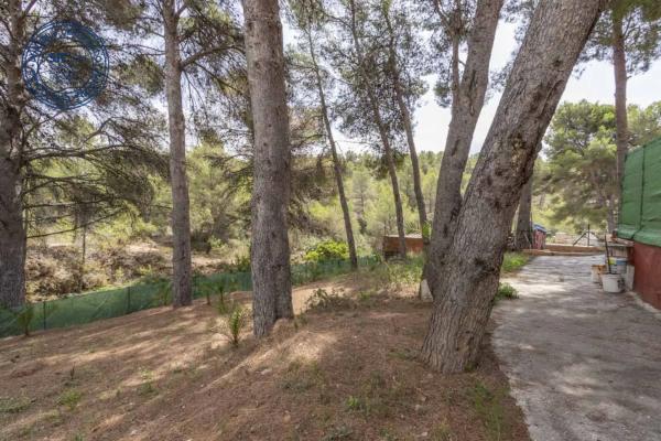 Terreno en calle Castellon