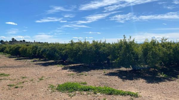 Terreno en Urbanizaciones