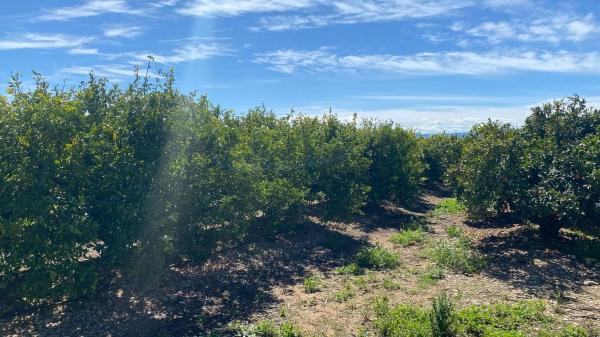 Terreno en Urbanizaciones