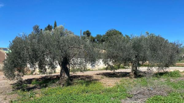Terreno en Urbanizaciones